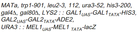 AH109酵母基因型 点击看大图 AH109酿酒酵母基因型