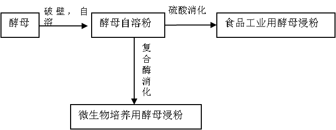 酵母浸粉的种类