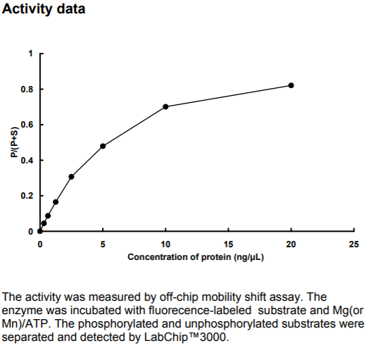 CDK9/CycK激酶活力