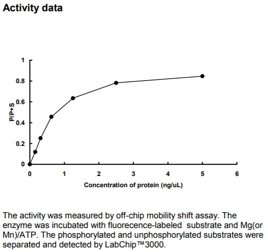 NPM1-ALK激酶活力