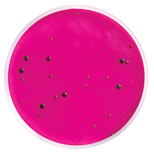 m远藤氏琼脂培养基