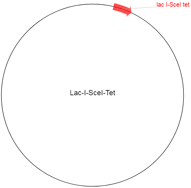 Lac-I-SceI-Tet载体图谱