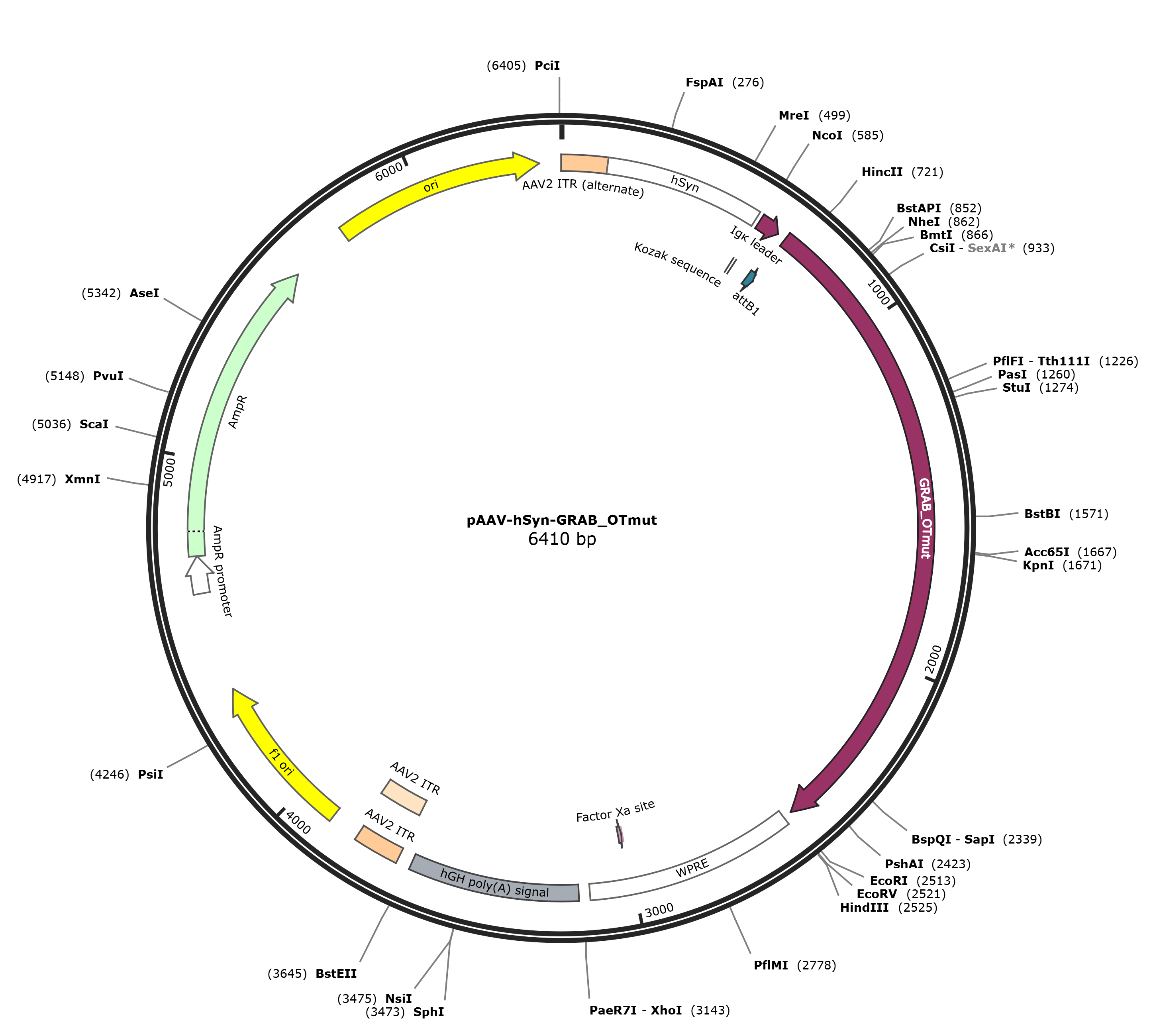 pAAV-hSyn-GRAB_OTmut载体图谱