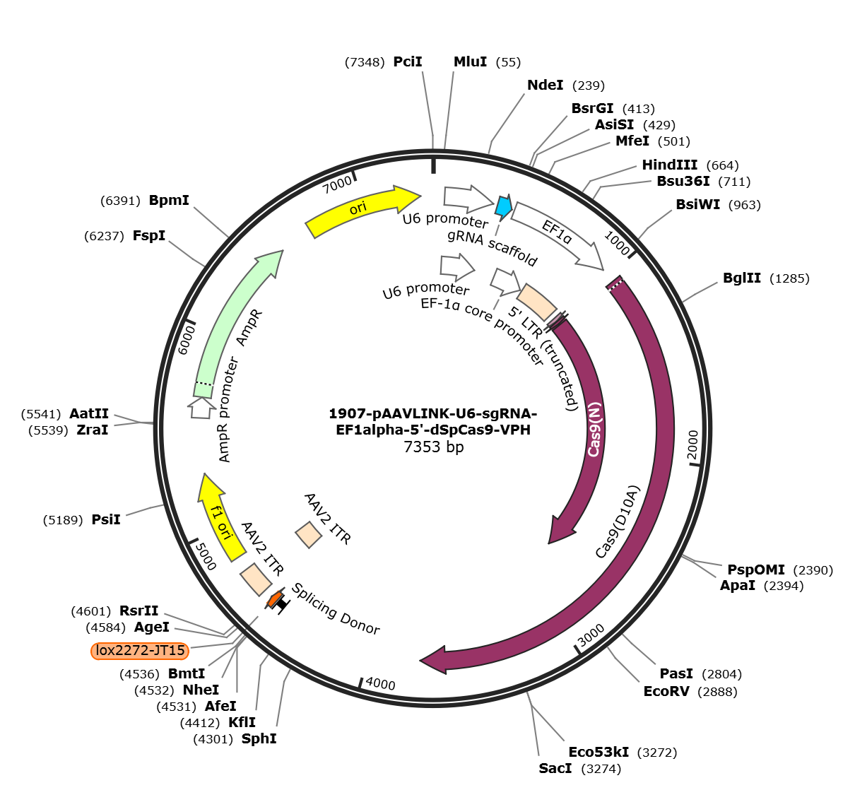 pAAVLINK-U6-sgRNA-EF1alpha-5-dSpCas9-VPH载体图谱
