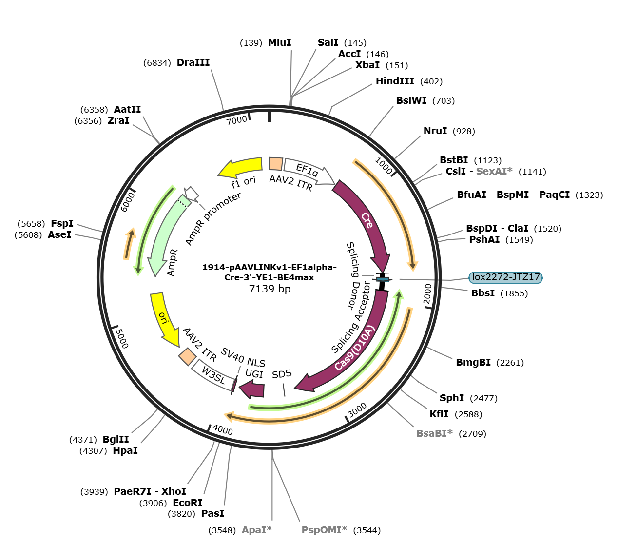 pAAVLINKv1-EF1alpha-Cre-3-YE1-BE4max载体图谱