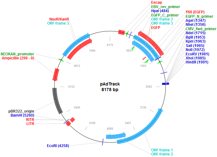 pAdTrack载体图谱