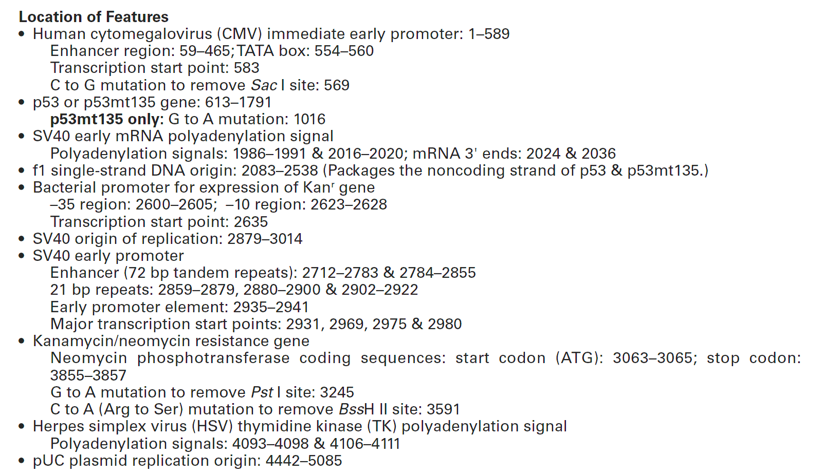 pCMV-p53载体特征