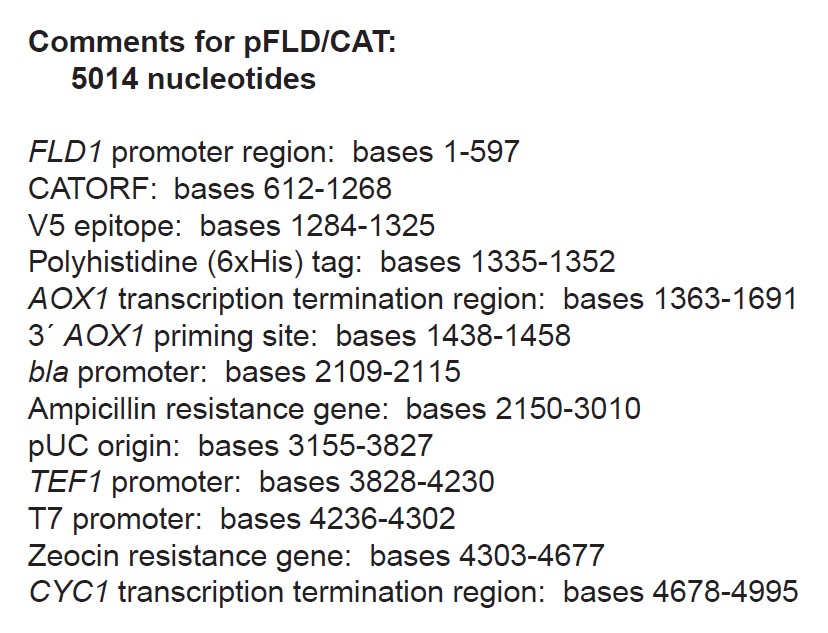pFLD-cat载体特征