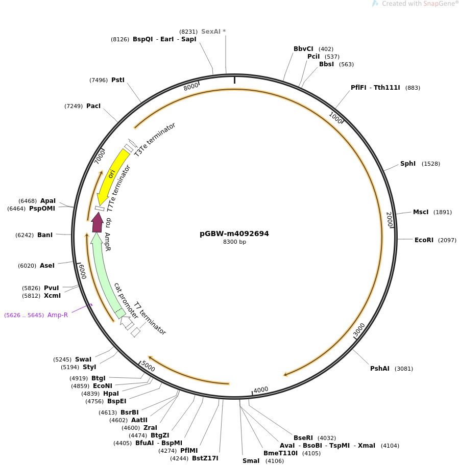 pGBW-m4092694质粒图谱