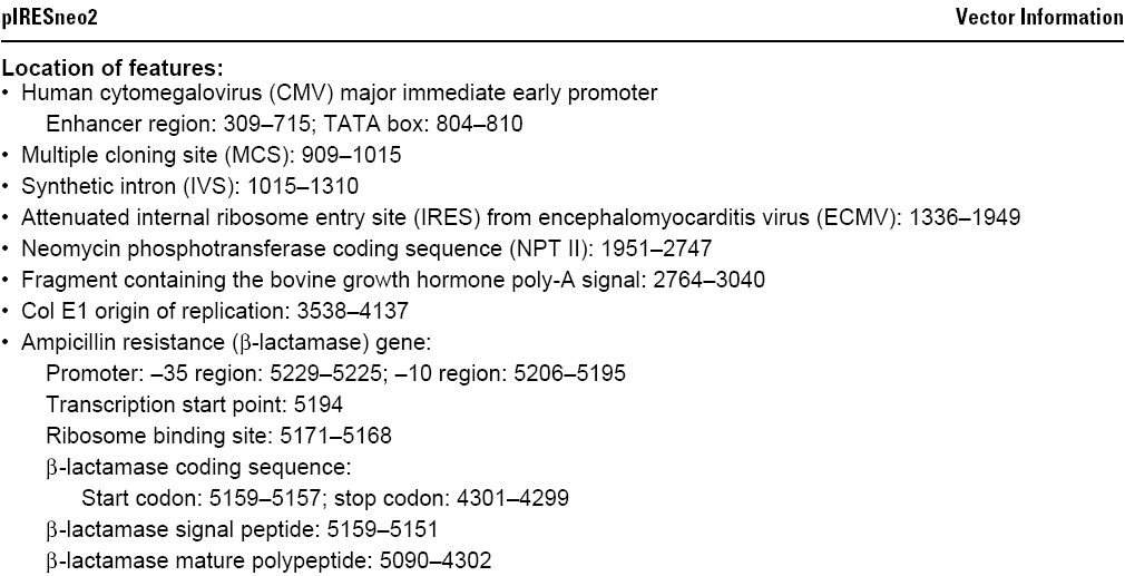 pIRESneo2载体特征