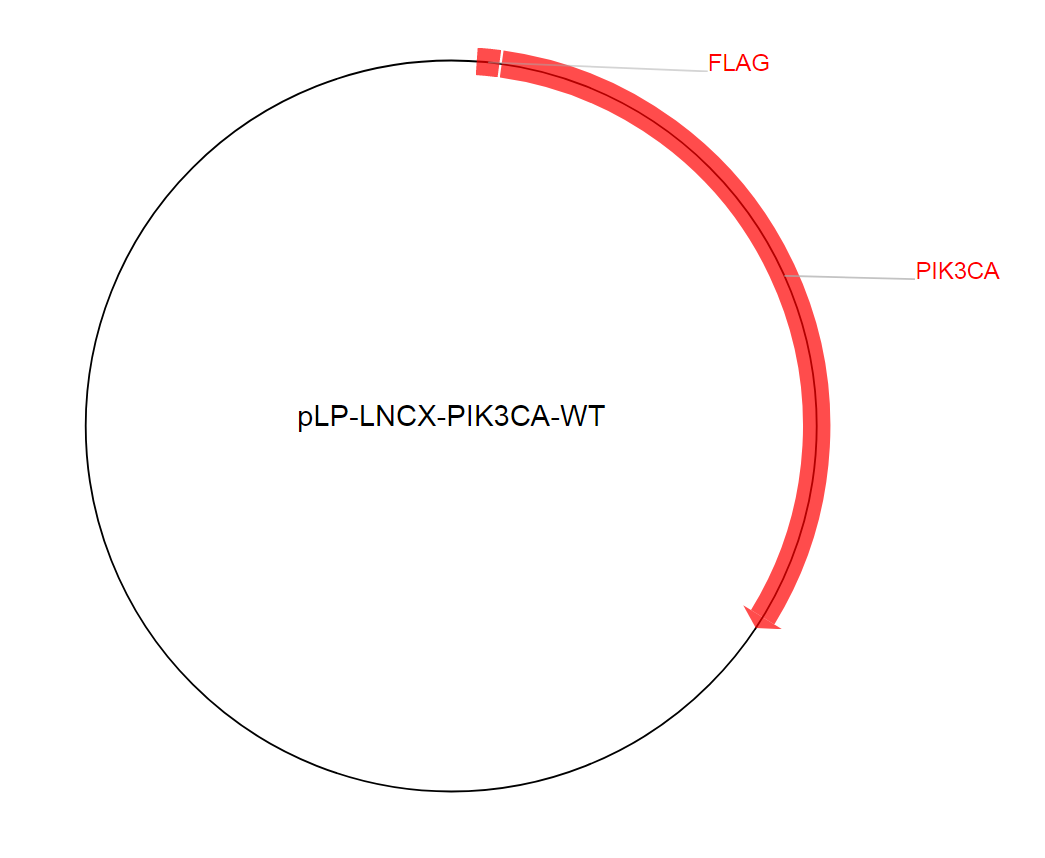 pLP-LNCX-PIK3CA-WT质粒图谱