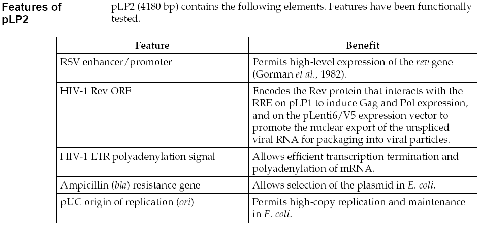 pLP2载体特征