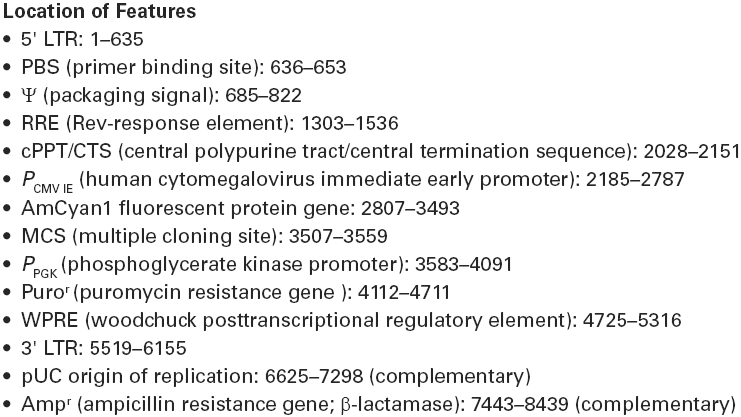 pLVX-AmCyan1-C1载体特征