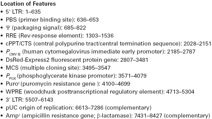 pLVX-DsRed-Express2-C1载体特征