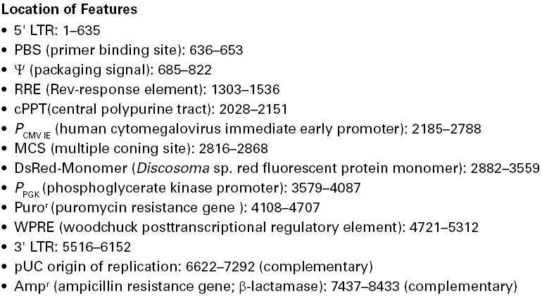 pLVX-DsRed-Monomer-N1载体特征