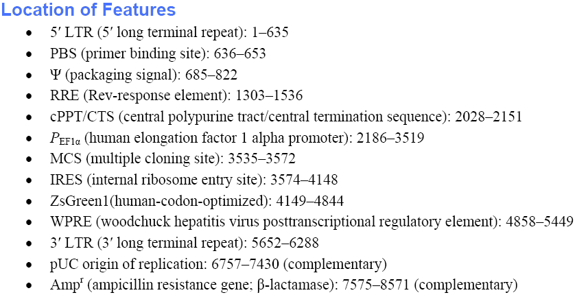 pLVX-EF1α-IRES-ZsGreen1载体特征