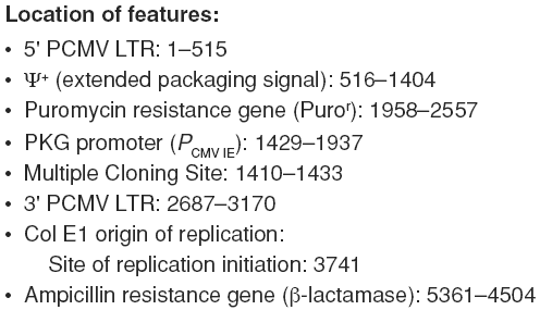 RNAi-Ready pSIREN-RetroQ载体特征