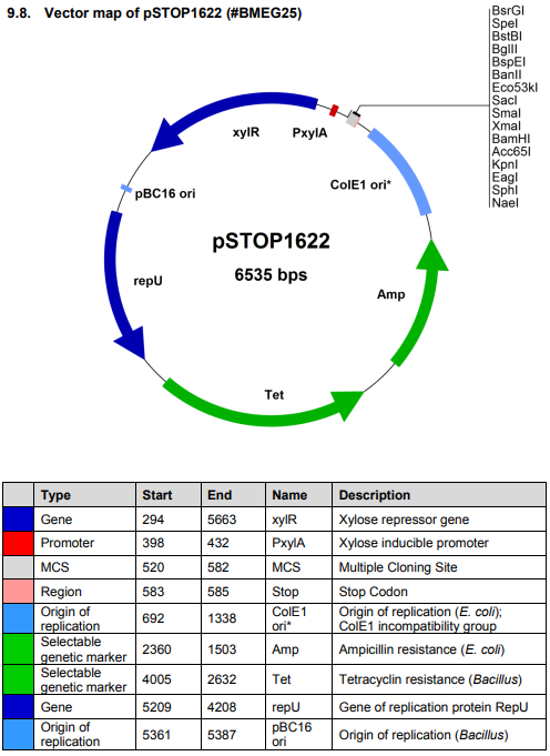 pSTOP1622载体图谱
