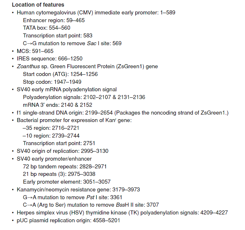 plRES2-ZsGreen1载体特征