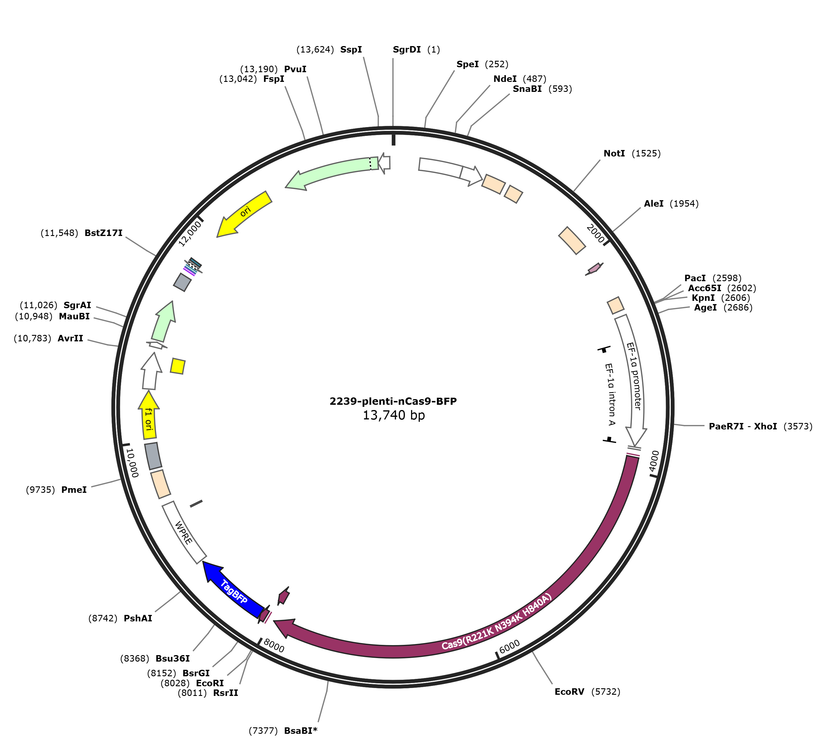 plenti-nCas9-BFP载体图谱